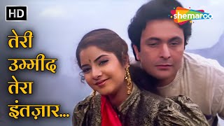 Teri Umeed Tera Intezar Karte Hai | Rishi Kapoor Hits | Divya Bharti | Deewana (1992) | Kumar Sanu