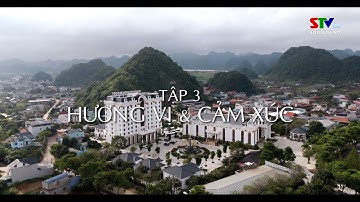 SẮC HƯƠNG CAO NGUYÊN MỘC CHÂU – TẬP 3: HƯƠNG VỊ VÀ CẢM XÚC