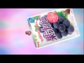 meiji 果汁グミ 30秒CM_曲"西野カナ_Happy Half Year!