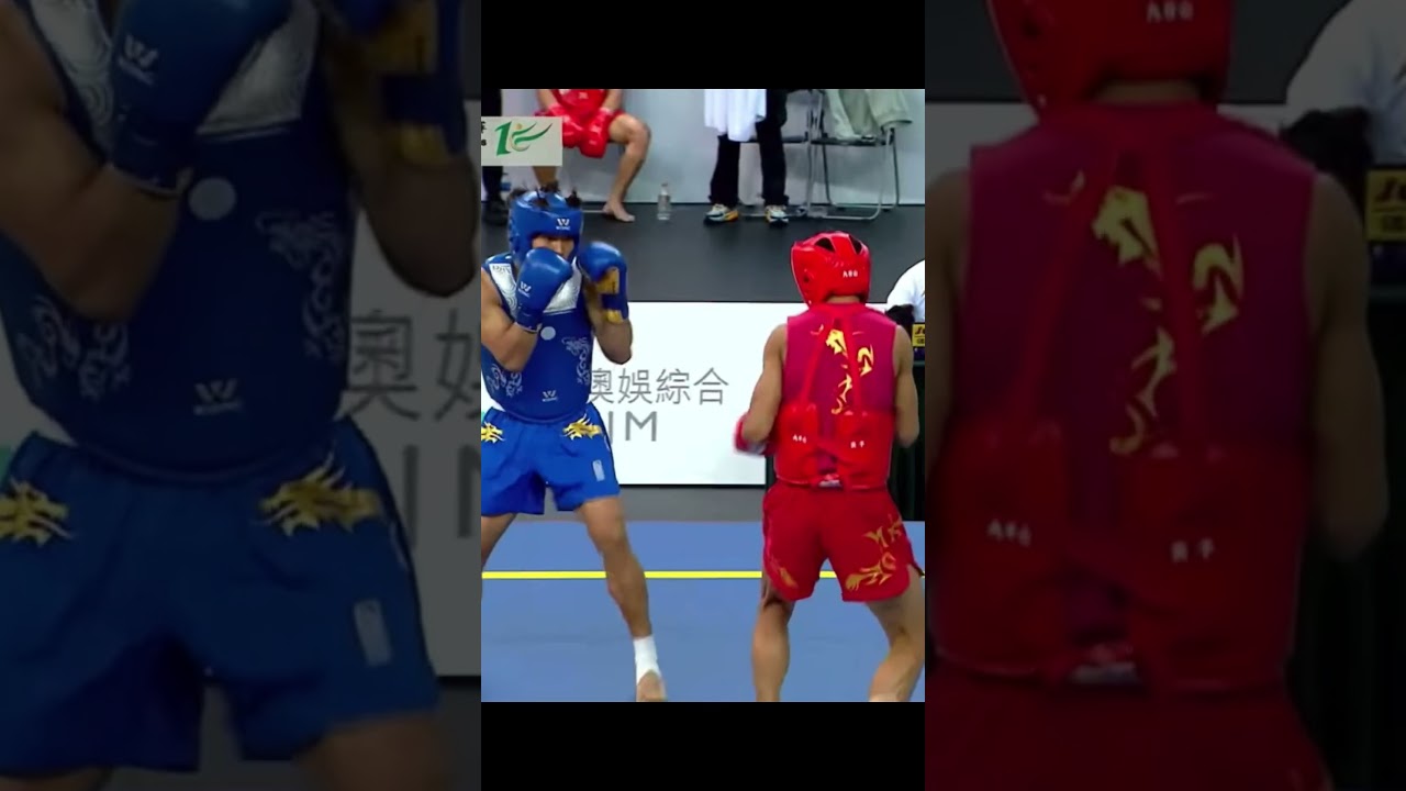 MY WUSHU sanda highlights