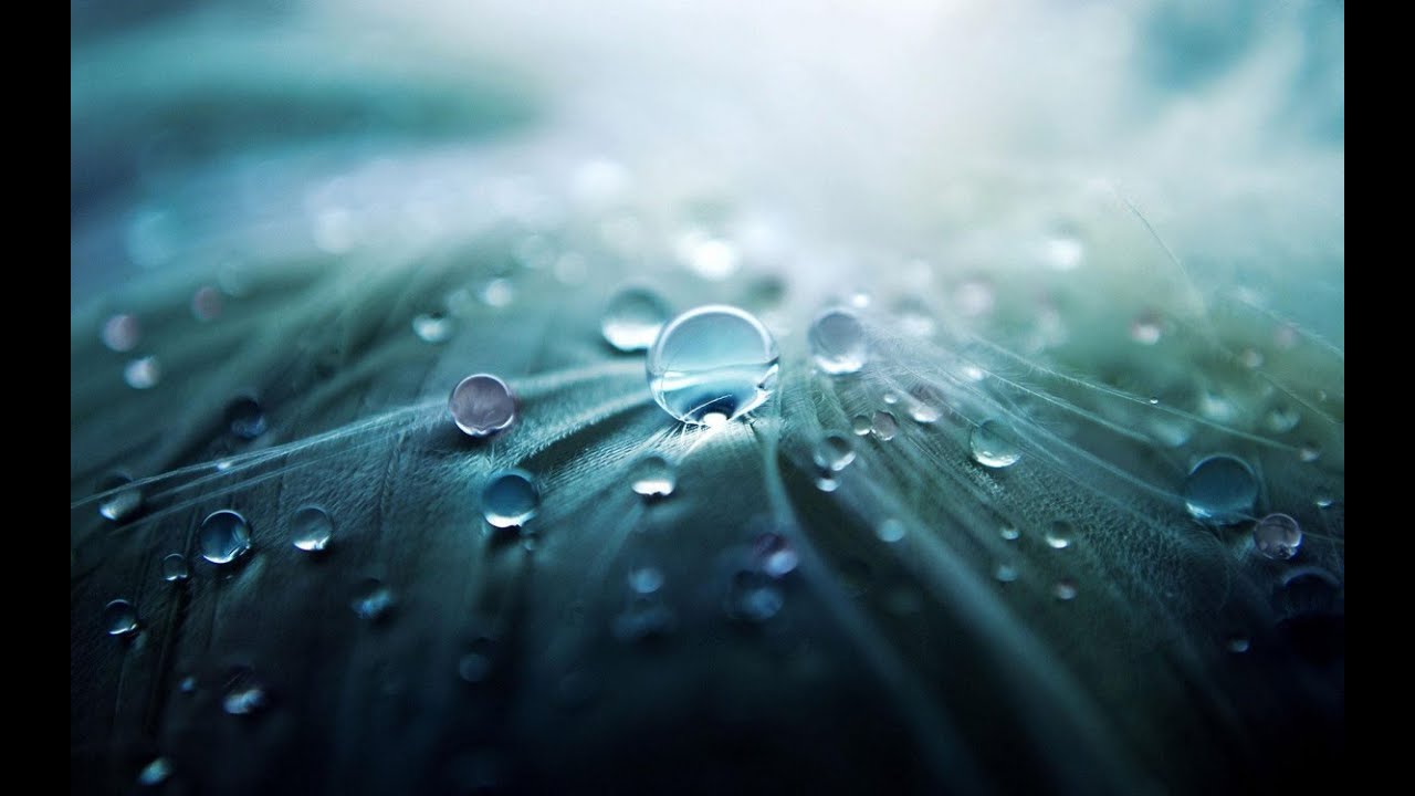 Rain Sounds - Rain Sounds for Sleeping - Relax - Meditation - ASMR #19