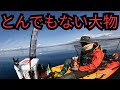 春の静岡海釣り遠征🌸美味しい魚達が出迎えてくれました😊