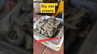 Guess Price? |Big Size Prawns| Cheediga Fish Market| P johnsi| Kakinada #shorts #seafood  #prawns