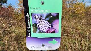 Boisé Jean- Milo Nature Park - Fall 2022