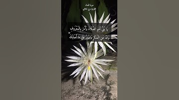 آية ١٧ "يا بني أقم الصلاة وأمر بالمعروف وانه عن المنكر " من سورة لقمان (٥ من ١٠ وصايا لقمان لابنه)