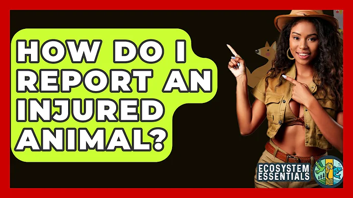 How Do I Report An Injured Animal? - Ecosystem Essentials