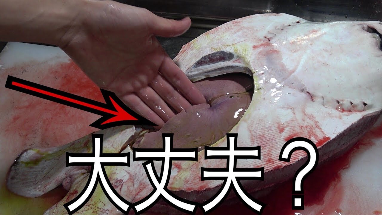 水死したエイの腹の中を綺麗に掃除してさばいて料理してみた Alien Fish Hunched Youtube