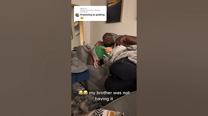 Watch the video about Y’all meet my babies cat Redd Foxx #sphynx #catlover