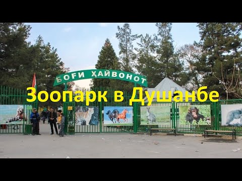 Таджикистан.Зоопарк в Душанбе.Душанбе 2022.Tajikistan.Zoo in Dushanbe.Dushanbe 2022.