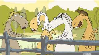 Video thumbnail of "I have no idea what your talking about, So here's 4 Horses Singing"