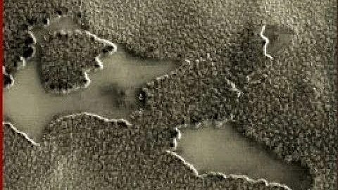 Trees and Lakes on Mars: The Research of Joseph Sk...