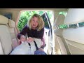 How To Use a Dog Travel Harness In The Car