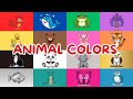 Animals Color Song! 🐶🦁 Fun Nursery Rhymes for Kids | Learn Colors & Animals