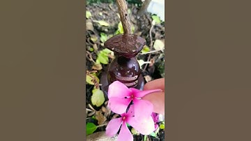 Shivling status 🔱 |Mahakal status #mahakal #shivling #bholenath#whatsappstatus