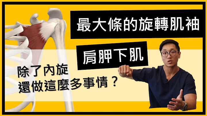 最大的一条旋转肌袖─肩胛下肌 不是只有做肩关节内旋而已！ - 天天要闻
