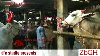 043 Qurbani 2017 Zinzira Bazar Gorur Haat Vol.3 Zbgh 2018
