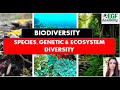 Species Genetic Ecosystem diversity l Species Diversity l Genetic Diversity l Ecosystem Diversity