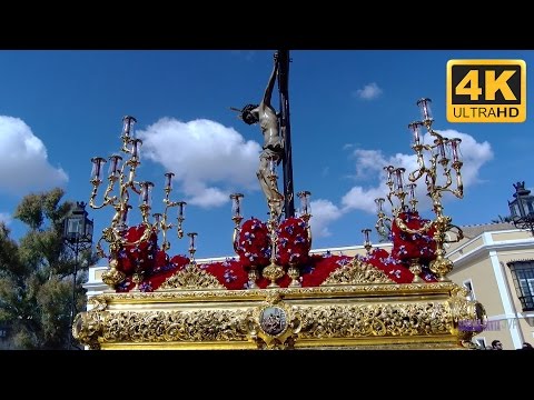 Real, Ilustre y Fervorosa Hermandad Sacramental de la Pura y Limpia Concepción de la Santísima Virgen María, Ánimas Benditas del Purgatorio y Cofradía de Nazarenos del Santísimo Cristo de la Salud, María Santísima del Refugio, Santa Cruz, Nuestra Señora del Patrocinio, Santa Bárbara y San Bernardo