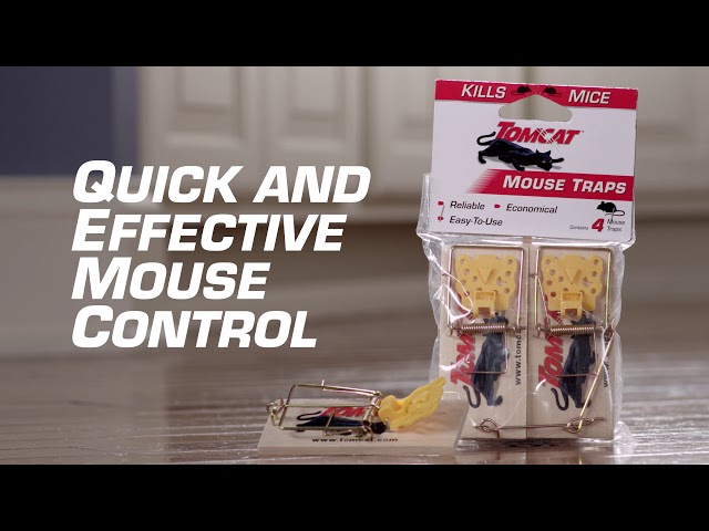 How to Catch and Kill Mice Using the Tomcat® Kill & Contain Mouse