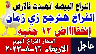 اسعار الفراخ اليوم | سعر الفراخ البيضاء اليوم الاربعاء 16-8-2023 في مصر