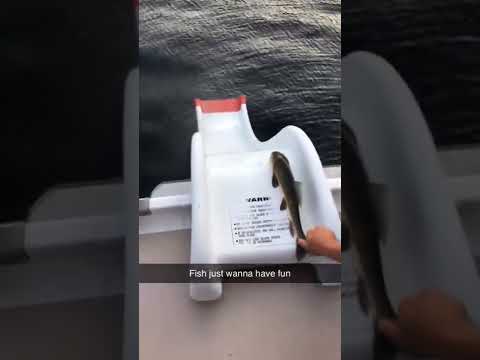 His friends will