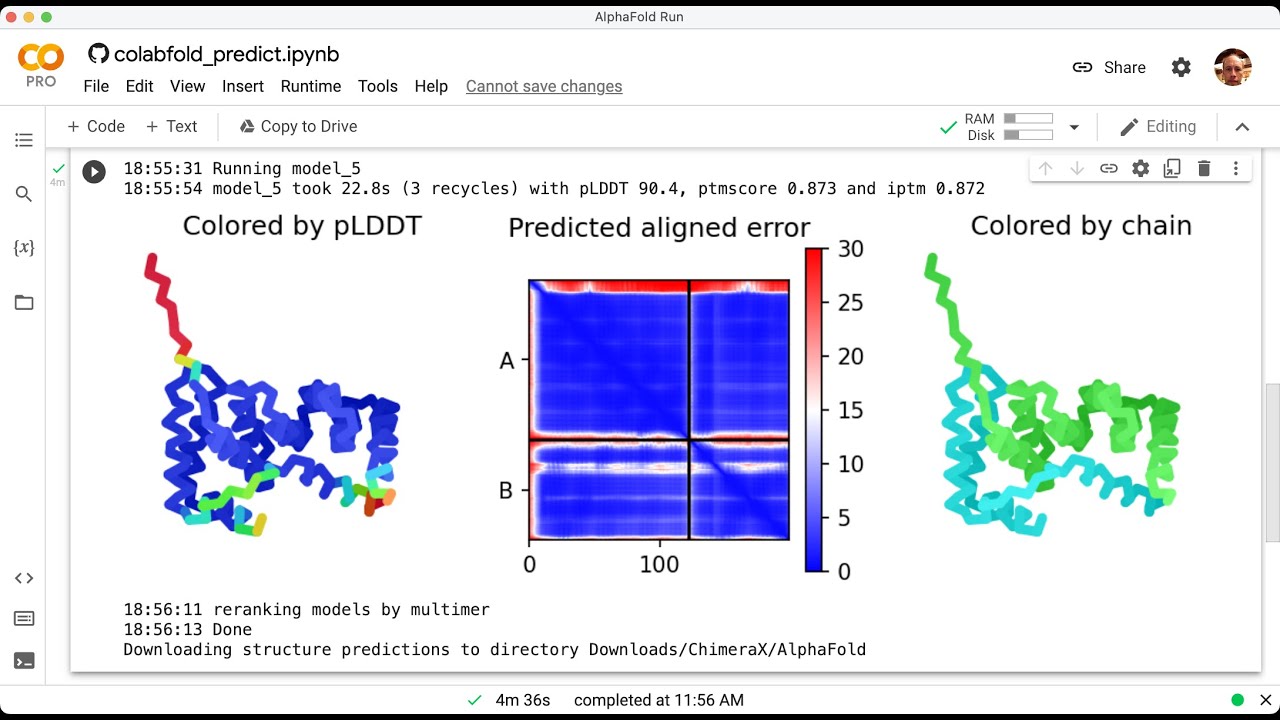 Faster AlphaFold protein structure predictions using ColabFold YouTube Faster AlphaFold protein structure predictions using ColabFold YouTube