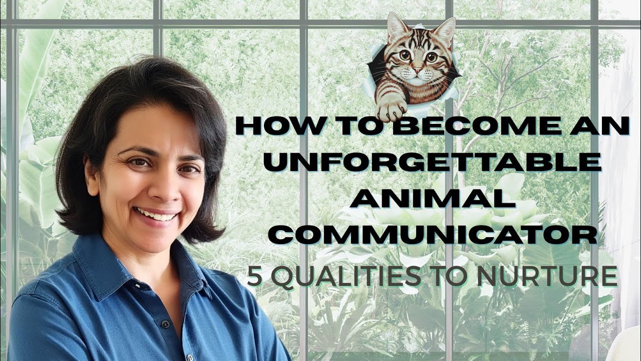 Qualiris Animal How to Become an Unforgettable Animal Communicator 5 Qualities To ...
