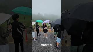 천상의화원,함백산 만항재