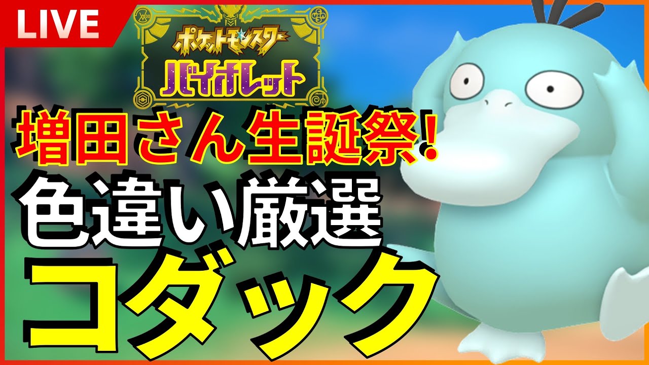 生誕祭】 色違いコダックを厳選！増田さあああああん！お誕生日