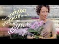 2 tipos de adubo ORGÂNICO para orquídeas