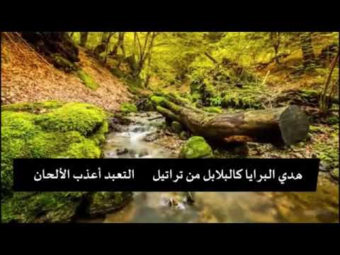 أروع مناجاة يا رب ي إنشاد علي عماش الألمعي