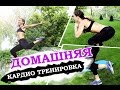 Домашняя кардио тренировка| САМОЕ ЭФФЕКТИВНОЕ КАРДИО!