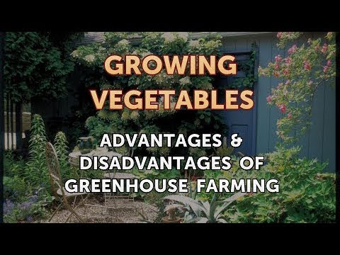 Advantages & Disadvantages of Greenhouse Farming