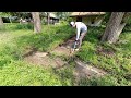 Vacant home gets reclaimed by mother nature