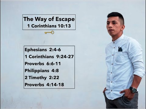 'The Way of