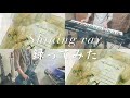 Janne Da Arc Shining Ray 歌詞 動画視聴 歌ネット