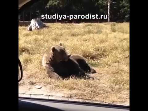 Есть чо похавать?