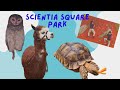 Scientia Square Park - Bermain Playground Outdoor, Panjat Tebing hingga kasih makan Hewan Langka!