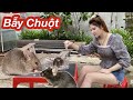 Cách Làm Bẫy Chuột Đơn Giản /Chỉ 1 Đêm Bẫy Hết Sạch Chuột Trong Nhà