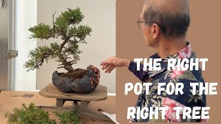 The Right Tree for the Right Pot