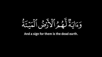 وءاية لهم الأرض الميتة أحييناها | سورة يس [33 - 44] | ترجمة إنجليزية | كرومة سوداء | صلاح باعثمان