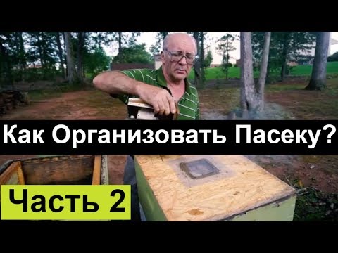 №83 Как Организовать Пасеку? часть2.  Обмен Опытом. Пчеловодство. Пасека.