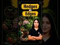 Hedges VS Edges #agricultureadda247 #education #agricultureexams #science #hedges #edges