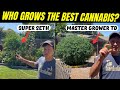 Best organic cannabis growing tips  hippie vs master grower