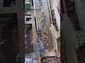 Scrap Metal Scrap Car Shredder Recycling Machine _ Metal Shredder Machine #shorts