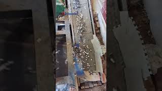 Scrap Metal Scrap Car Shredder Recycling Machine _ Metal Shredder Machine #shorts Scrap Metal Scrap Car Shredder Recycling Machine _ Metal Shredder Machine #shorts