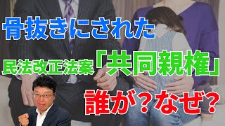 【離婚後・共同親権】骨抜きにされた民法改正法案・共同親権　誰が？なぜ？明かされる真実！