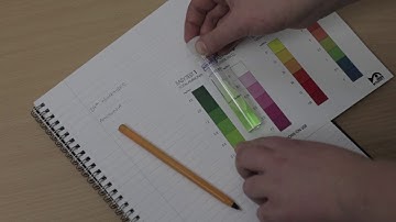 How to Test Ammonia using an Interpet Easy Test Kit