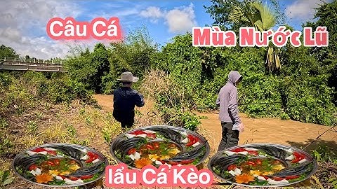 Câu Cá Mùa Nước Lũ Và Cái Kết Có Nồi Lẩu Cá Kèo #huyhoangtv 