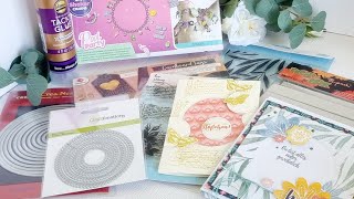 Bastelhaul, Mai 24, #Action, Amazon, Craftelier, Inspiration, 2 Karten geprägt mit Stanzen